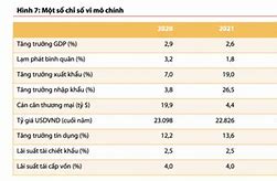 Báo Cáo Tăng Trưởng Kinh Tế Việt Nam 2023