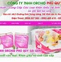 Công Ty Sản Xuất Giấy Tiêu Dùng Hưng Thịnh