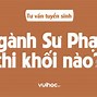 Ngành Sư Phạm Tiểu Học Gồm Những Trường Nào