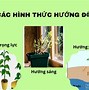 Ứng Động Khác Với Hướng Động Ở Đặc Điểm Nào